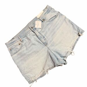 NEW American Eagle Relaxed Short Strigid Size 18 (34W)